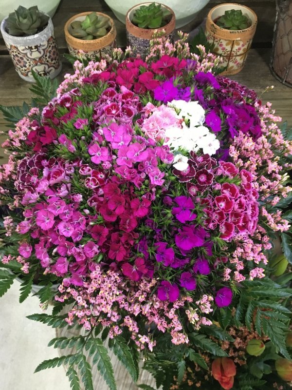 Ramo bouquet clavel poeta
