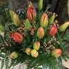 Ramo de tulipas