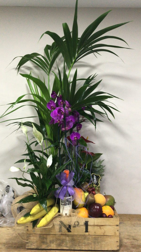 Caja de plantas y frutas