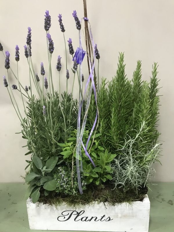 Caja de aromáticas
