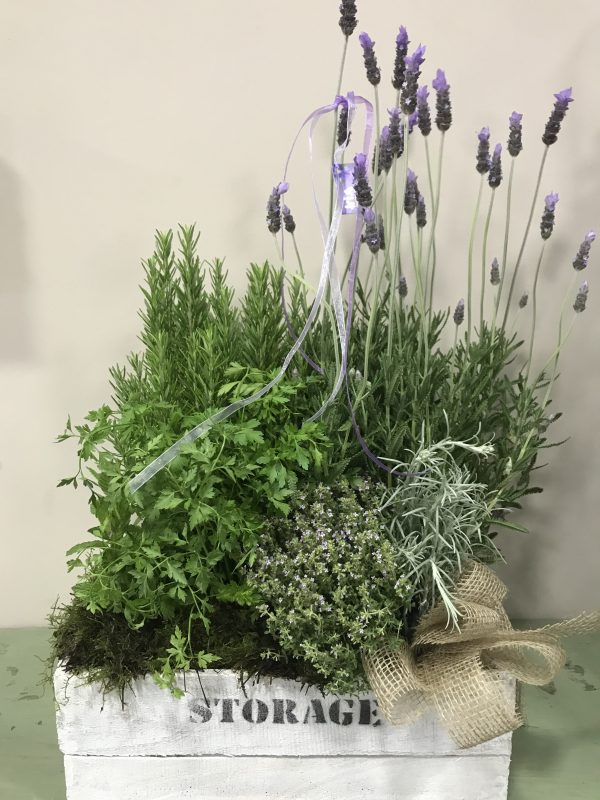 Caja de aromáticas - Imagen 2