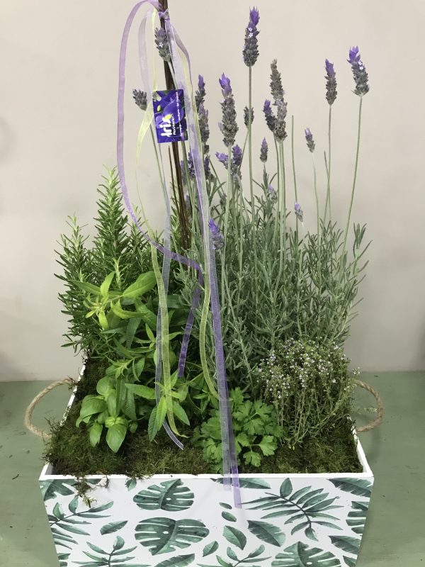 Caja de aromáticas - Imagen 3