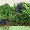 Caja de aromáticas - Imagen 2