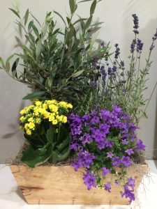 caixa de plantes d´exterior