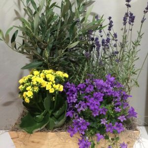 caixa de plantes d´exterior