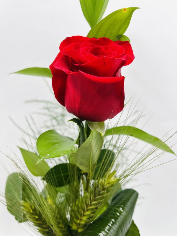 Ram 4 roses naturals amb verds i espigues - Imatge 2