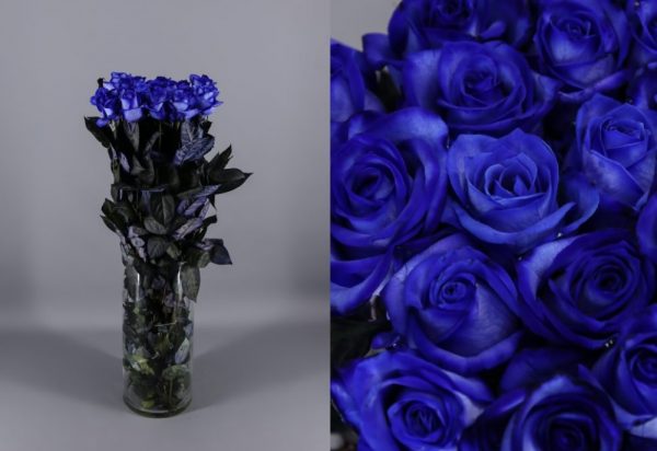 Suplement de Rosa natural tenyida blau o negre - Imatge 2