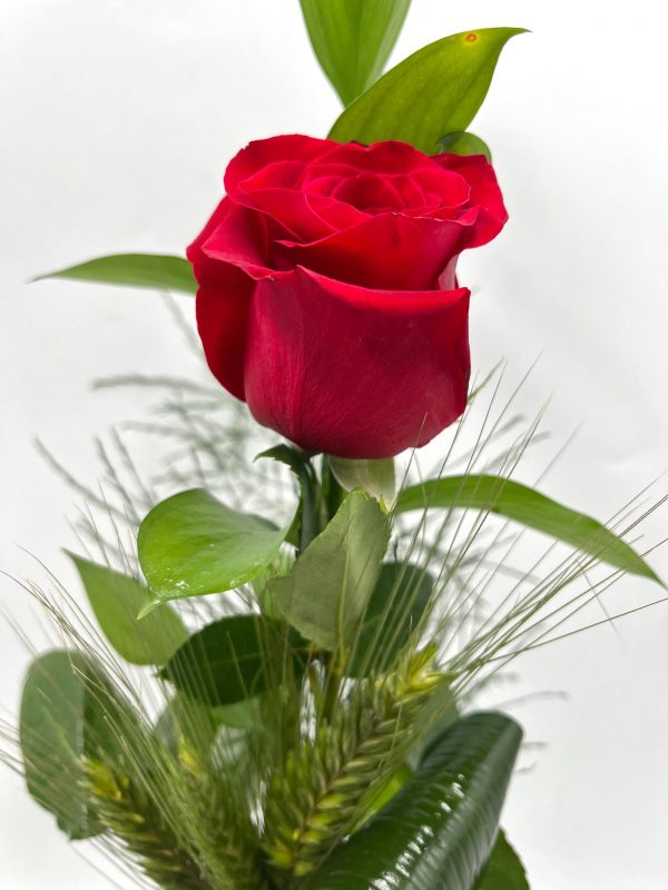 Base de madera con Sant Jordi y la princesa con Rosa natural - Imagen 3