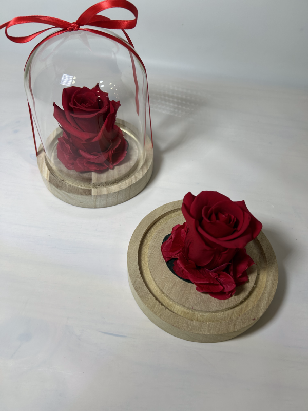 Cúpula con rosa preservada con hortensia 15cm