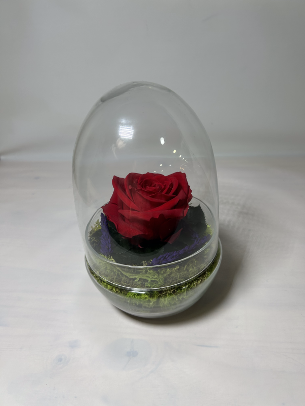 Terrario con rosa roja preservada 20cm - Imagen 2