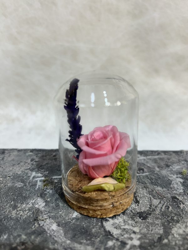 Cúpula amb rosa preservada 6cm - Imatge 2