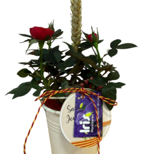 Rosal de pitimini mini