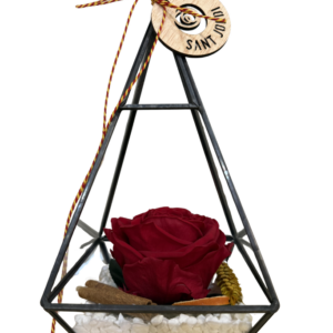 Rosa preservada en una cúpula triangular de cristal