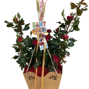 Rosal de pitimini grande