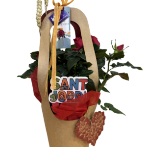 Rosal de pitiminí pequeño